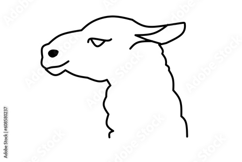 Sheep line drawing on white isolated background. Vector illustration.