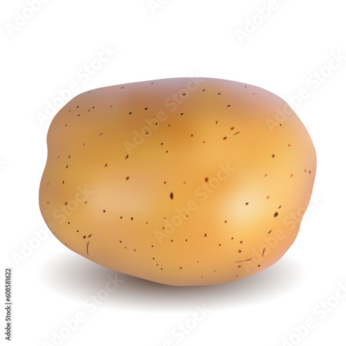 Potatoes on a white background