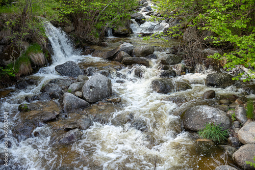 Fotografia stream in the forest, mountain stream in the Eastern Pyrenees