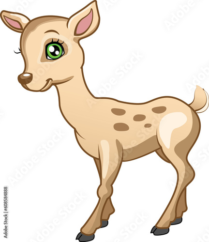 fawn on white background