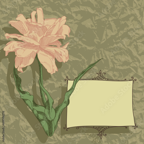 floral background, this illustration may be useful as designer work