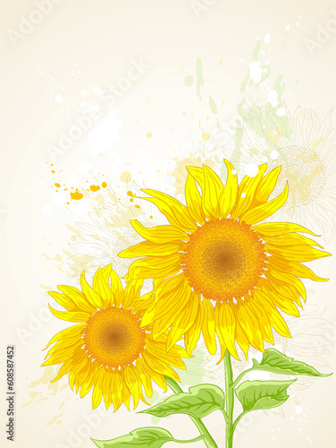 hand drawn vector floral background with sunflower