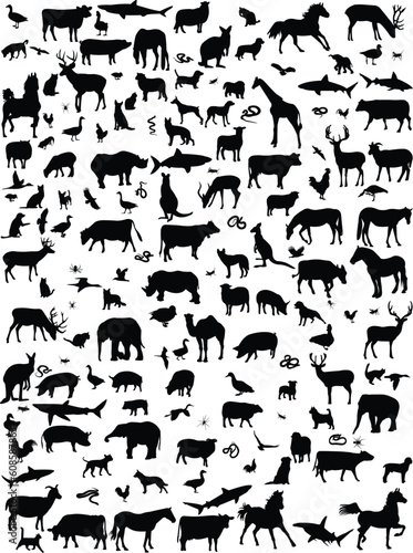 Collection of mix animals silhouette - vector