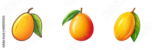 Illustration of mango fruit on a white background. Vector illustration.