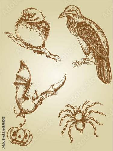 set of vector vintage hand drawn animals