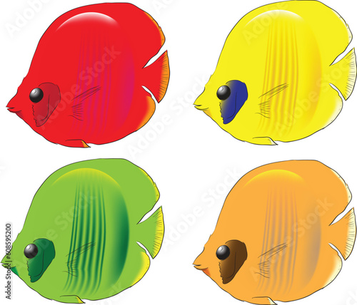 Color versions of fishes inhabiting the southern seas. Vector illustration.