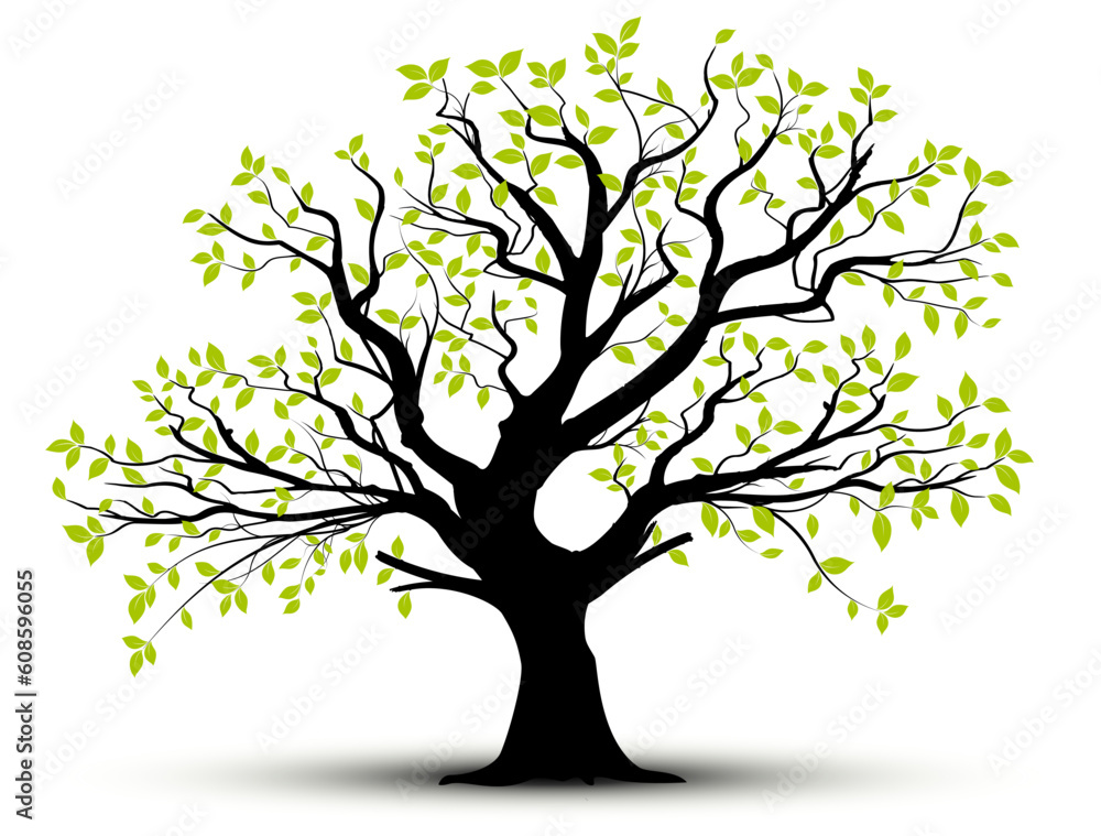 vector set - decorative tree and green leaves with shadow vector set - decorative tree and green leaves with shadow