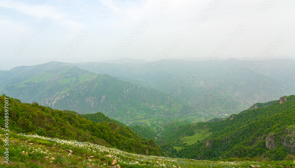 Mountain landscape covered with green forest