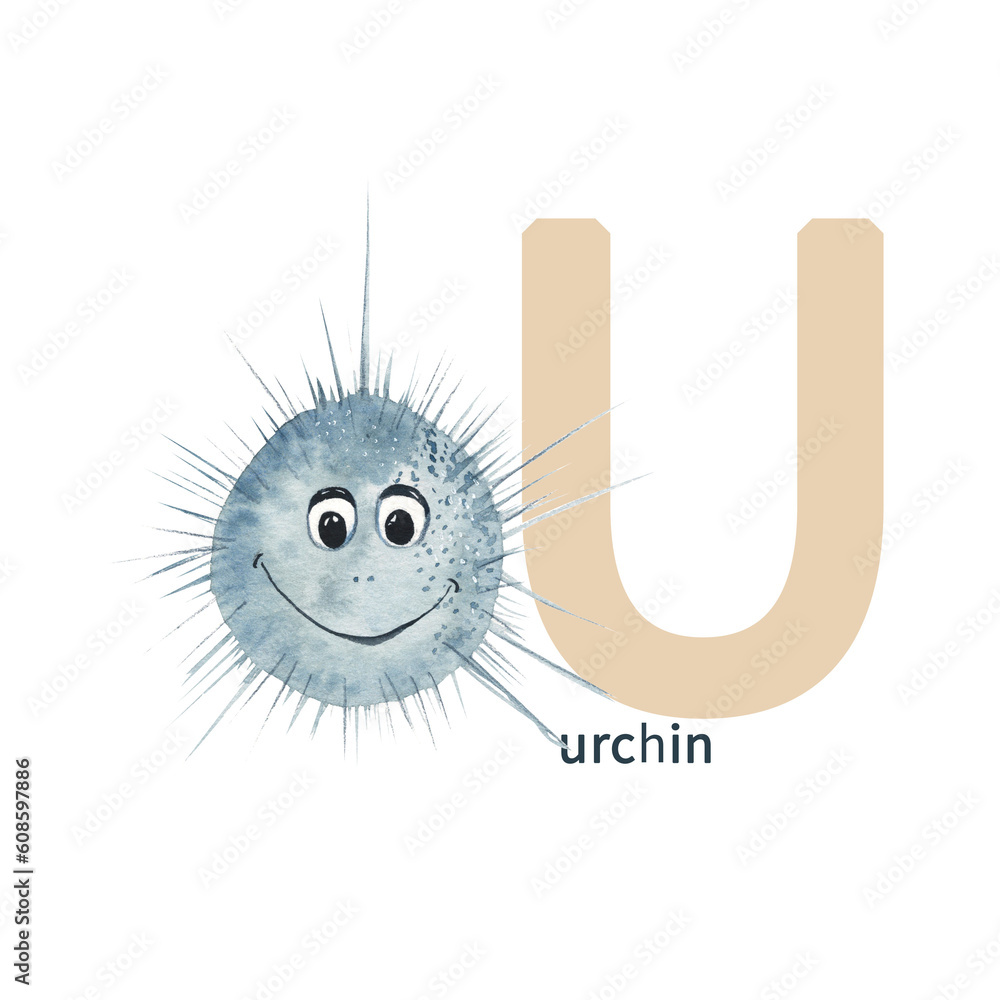 Letter U, urchin, cute kids animal ABC alphabet. Watercolor ...