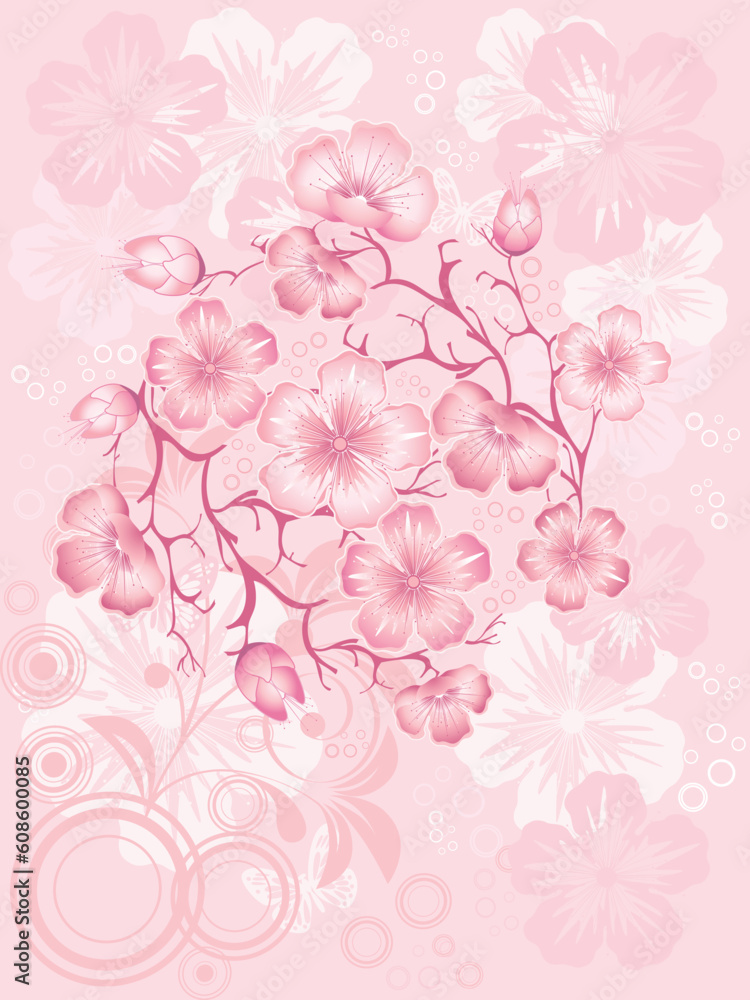 sakura  blossom, vector illustration