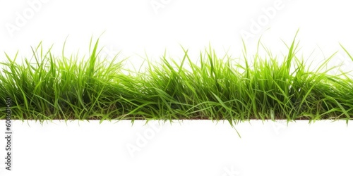 Green grass isolated on white background. Generative AI