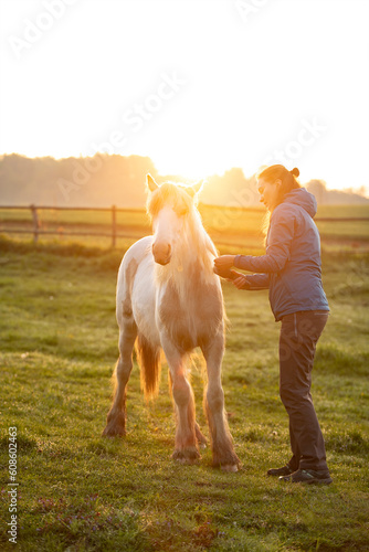 Girl combing a Tinker horse (Galineers Cob) on a field with rising morning sun photo