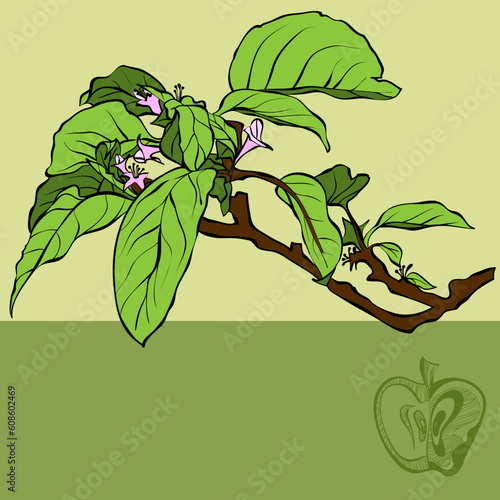 floral background, this illustration may be useful as designer work