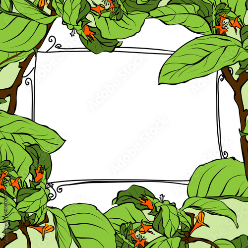 floral background, this illustration may be useful as designer work