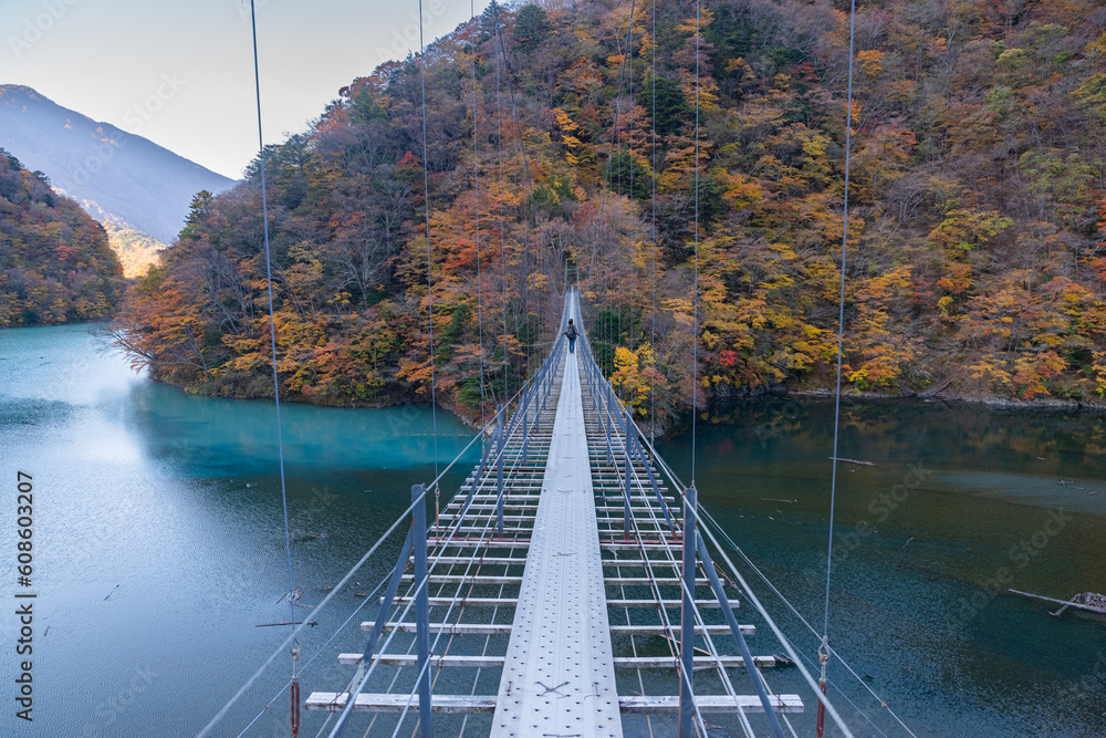 紅葉を見ながら渡る吊り橋