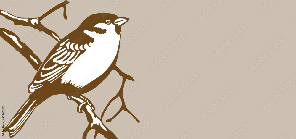bird silhouette on brown background, vector illustration