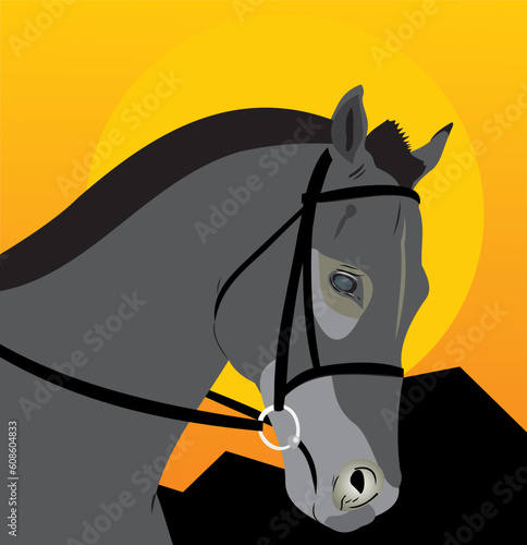 Wild horse. Head of a horse. Night landscape