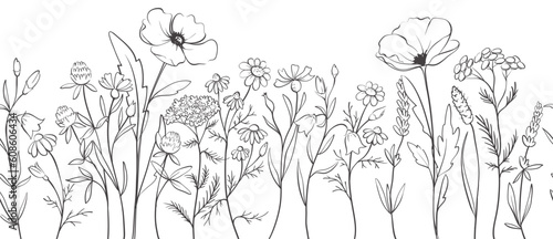 Wildflowers. Sketch in lines, freehand drawing. Vector  illustration, summer seamless background, flower meadow.	
