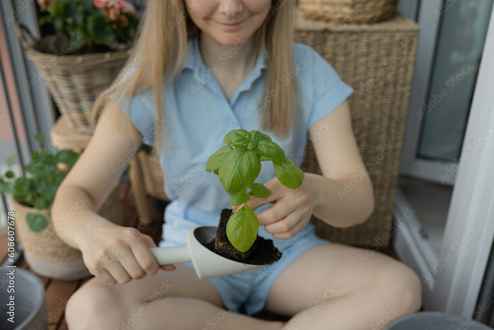 Obraz premium An unrecognizable woman holds a basil plant in her hands