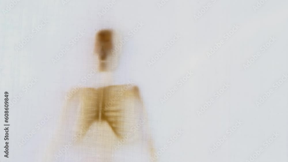 eerie blurry bones and skull of human skeleton, zombies behind window, fabric, wrap, ghost, spirit trying to reach out from afterlife, concept of friday 13th, nightmares, halloween horror eerie blurry bones and skull of human skeleton, zombies behind window, fabric, wrap, ghost, spirit trying to reach out from afterlife, concept of friday 13th, nightmares, halloween horror