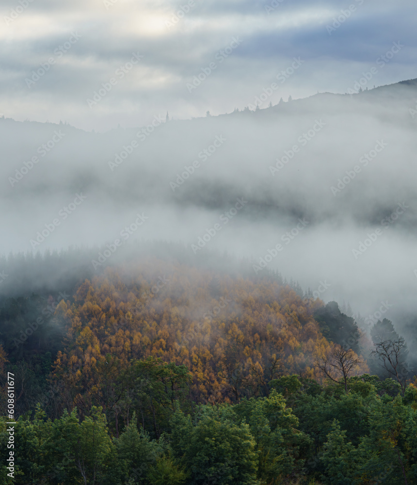 a foggy morning in autumn