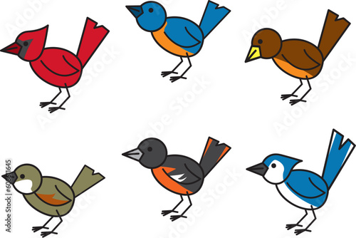 Six common and popular birds found throughout north american residential areas.