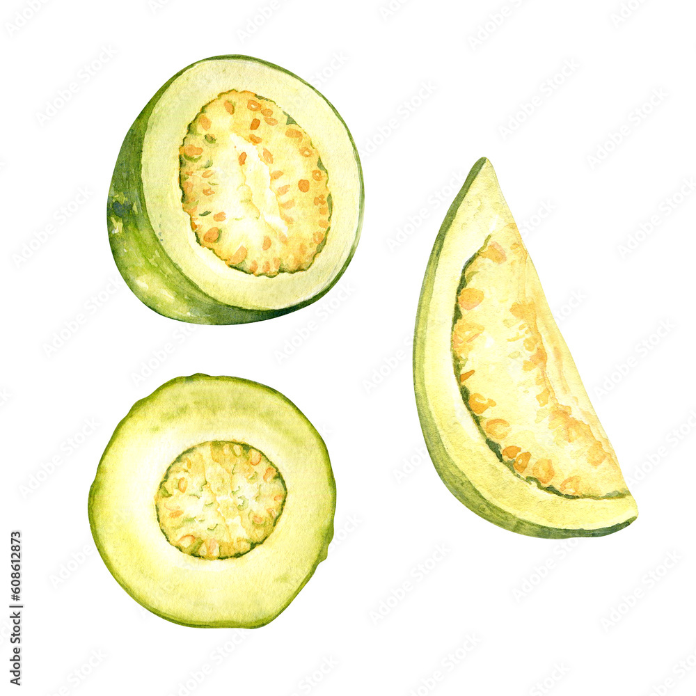 Half and slices guava watercolor illustration isolated on white. Tropical fruit, exotic apple, guajava, white pulp hand drawn. Design element for wrapping, packaging, label, kitchen utensil