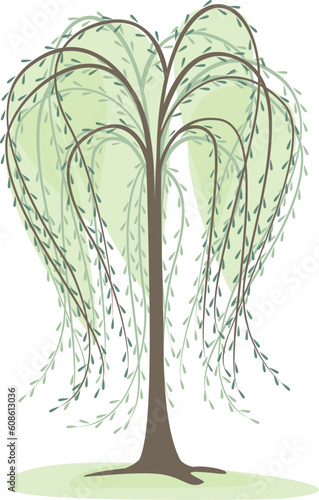 deciduous tree on a white background