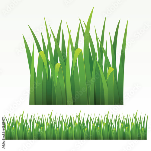 Grass green border.(can be repeated and scaled in any size)