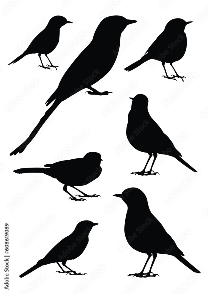Birds Silhouette - 7 different vector illustrations Birds Silhouette - 7 different vector illustrations