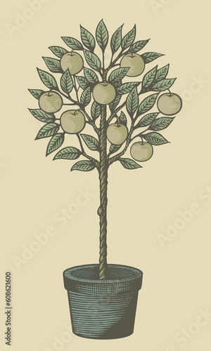Woodcut style decorative apple tree in plant pot on tan background.