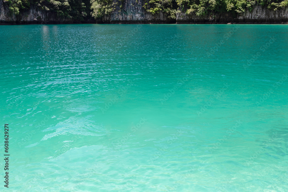 Beautiful tropical island bay at Maya Bay on Phi Phi Leh Island in sunshine day, Krabi Province, Thailand