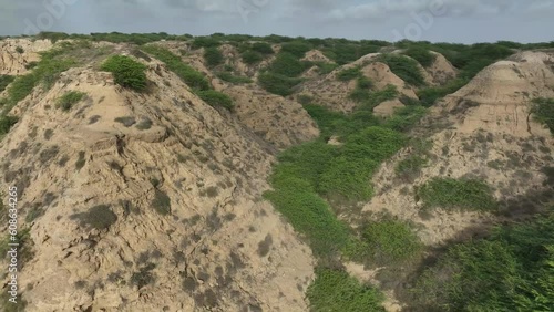 Aerial Low Flying Above Green Beach Grass At Gadani In Balochistan. photo