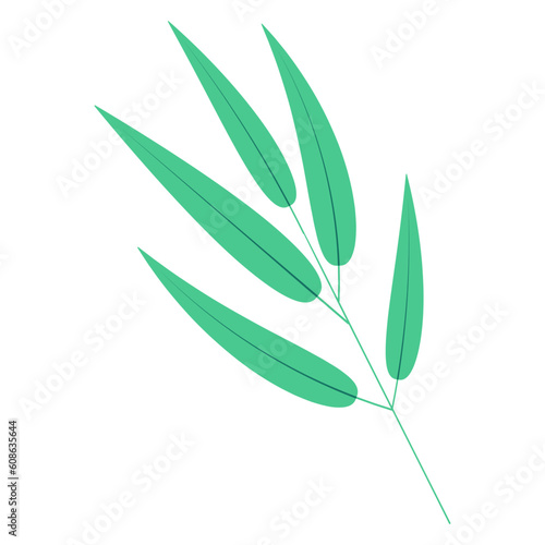 Bamboo, willow branch with leaves illustration. Hand drawn flat style vector, isolated. Plant, foliage, botanical design element, Asian flora