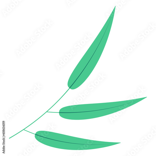 Bamboo, willow branch with leaves illustration. Hand drawn flat style vector, isolated. Plant, foliage, botanical design element, Asian flora
