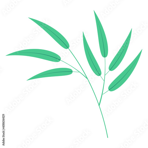 Bamboo, willow branch with leaves illustration. Hand drawn flat style vector, isolated. Plant, foliage, botanical design element, Asian flora