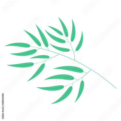 Bamboo, willow branch with leaves illustration. Hand drawn flat style vector, isolated. Plant, foliage, botanical design element, Asian flora