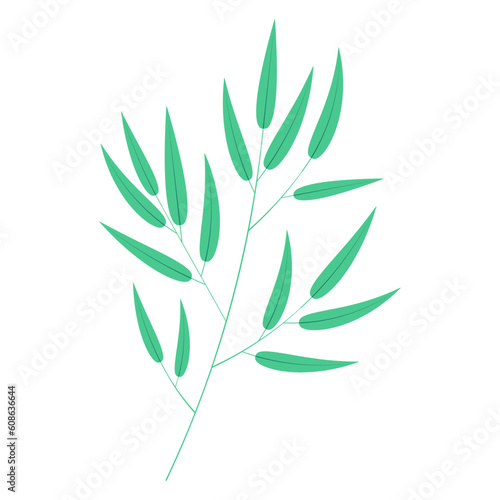 Bamboo, willow branch with leaves illustration. Hand drawn flat style vector, isolated. Plant, foliage, botanical design element, Asian flora