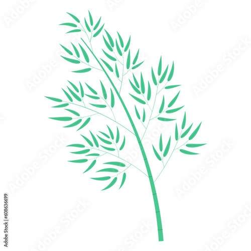 Bamboo tree illustration. Hand drawn flat style vector  isolated. Plant  foliage  botanical design element  Asian flora