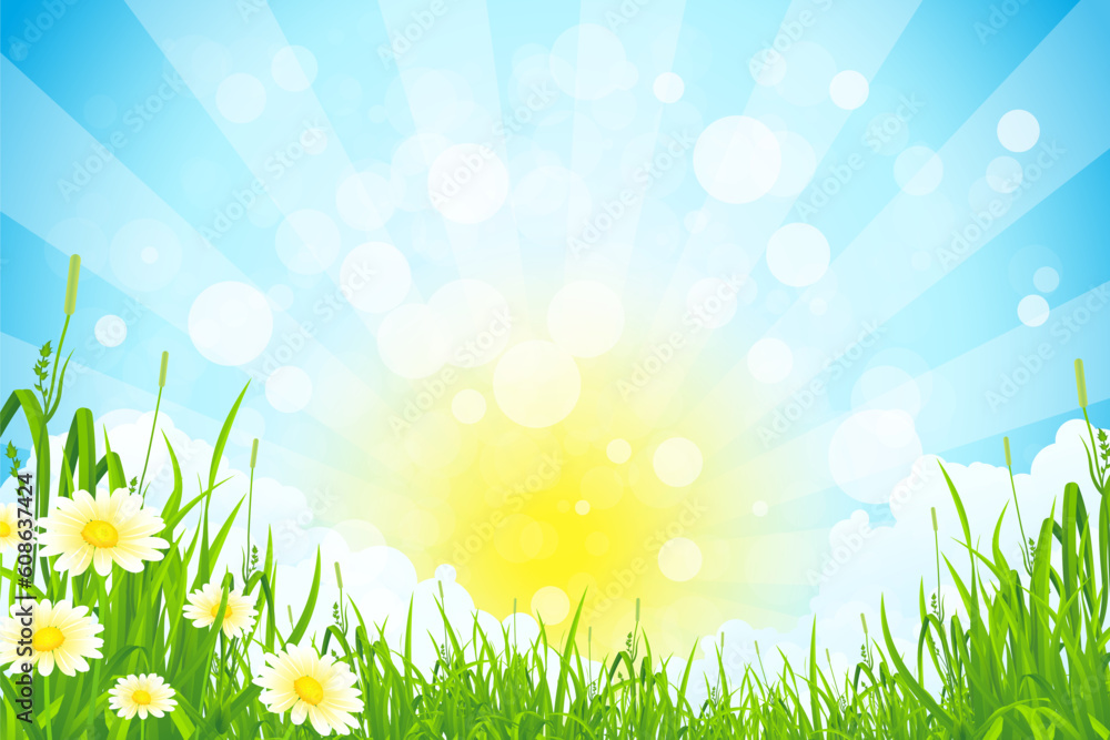 Fototapeta premium Green Summer Background with Sun Grass Clouds and Flowers