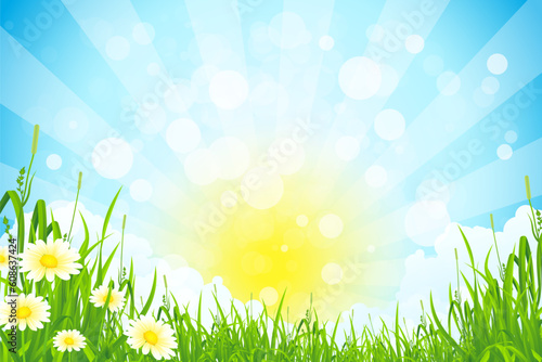 Green Summer Background with Sun Grass Clouds and Flowers