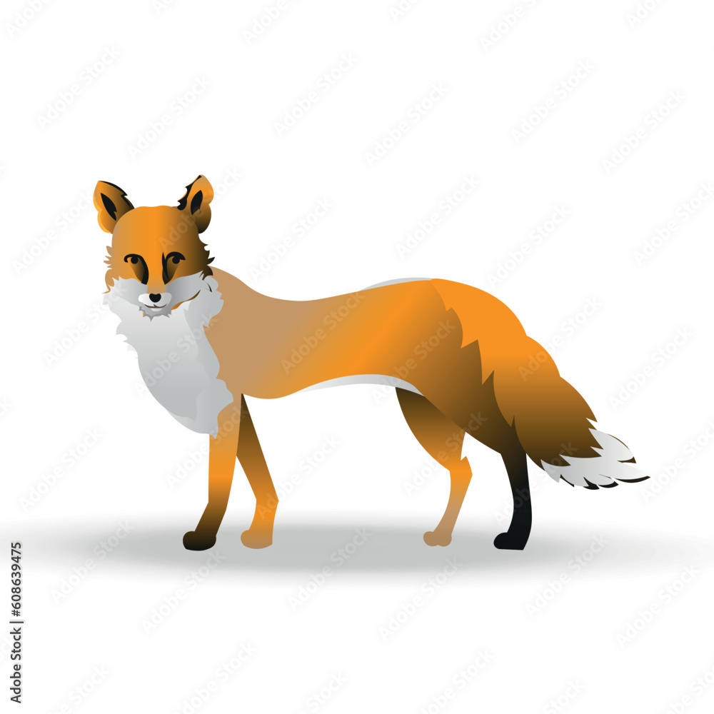 Graceful Fox in Vector Illustration: A Striking Portrait of the Enigmatic Forest Dweller on a Clean White Background. Graceful Fox in Vector Illustration: A Striking Portrait of the Enigmatic Forest Dweller on a Clean White Background.