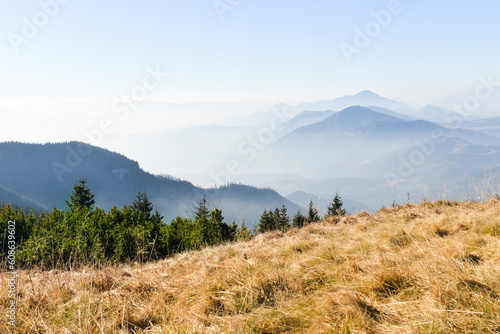 Beautiful view of the mountains with knee timber and clear blue sky on peaks in a fogg. West Tatras  Slovakia.