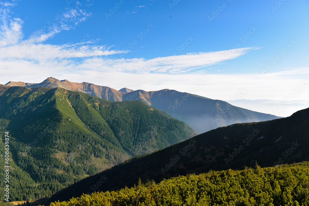 Fototapeta premium Beautiful view of the mountains with knee timber and clear blue sky on peaks in the summer. West Tatras, Slovakia.
