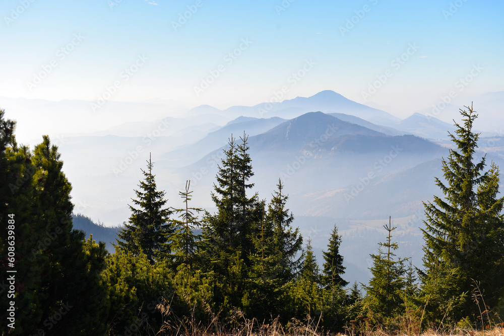 Beautiful view of the mountains with knee timber and clear blue sky on peaks in a fogg. West Tatras, Slovakia.