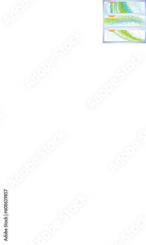 Set of stylish abstract banners with fresh waterdrops