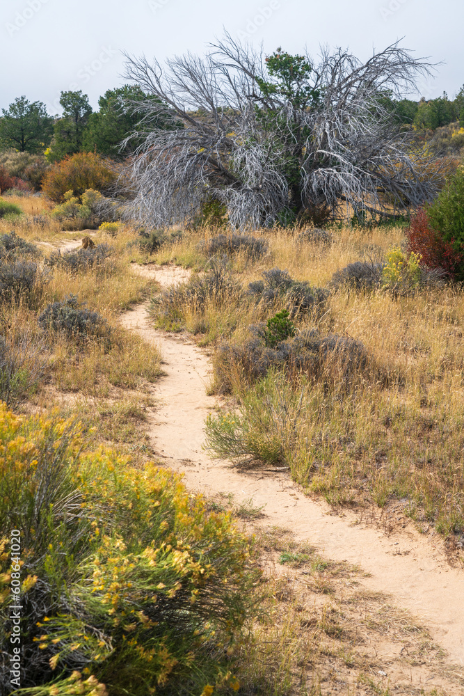 Trail at El Malpais National Monument Trail at El Malpais National Monument