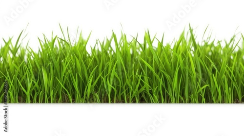 Green grass isolated on white background. Green grass border with copy space. green grass framen. generative AI photo