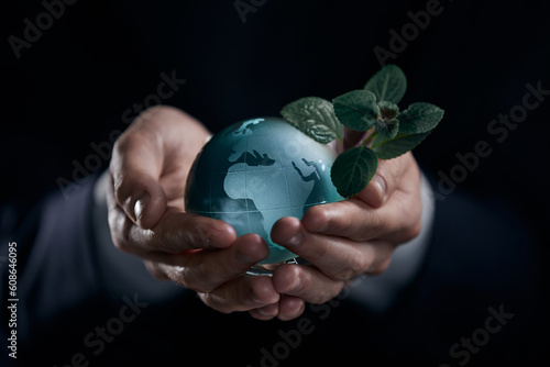 Crystal glass ball with Green plant in Hands on natural background