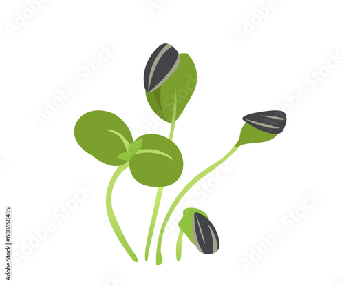 Green sprouts microgreen concept. Nature and wild life. Organic plant, gardening and farming. Ingredient for salad. Social media sticker. Cartoon flat vector illustration isolated on white background